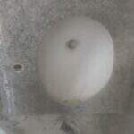 Imagem Anterior Do Produto