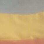 Imagem Anterior Do Produto