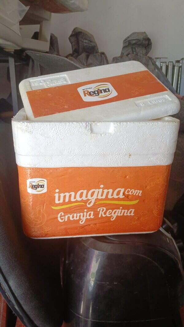 ISOPOR SEM TAMPA PEQUENO-RETIRADA MARACANAÚ