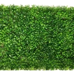 PLACA GRAMA DECORATIVA-RETIRADA MARACANAÚ