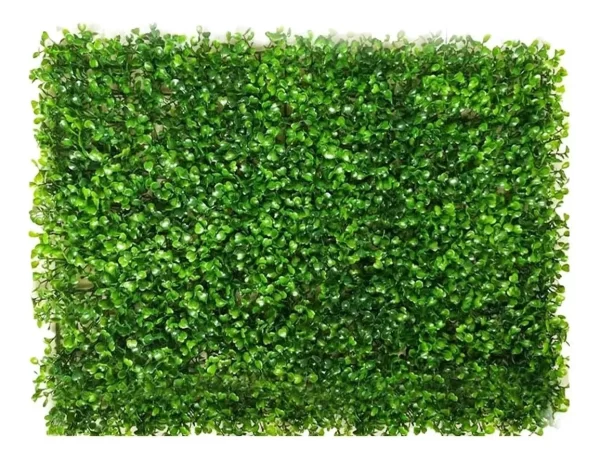 PLACA GRAMA DECORATIVA-RETIRADA MARACANAÚ